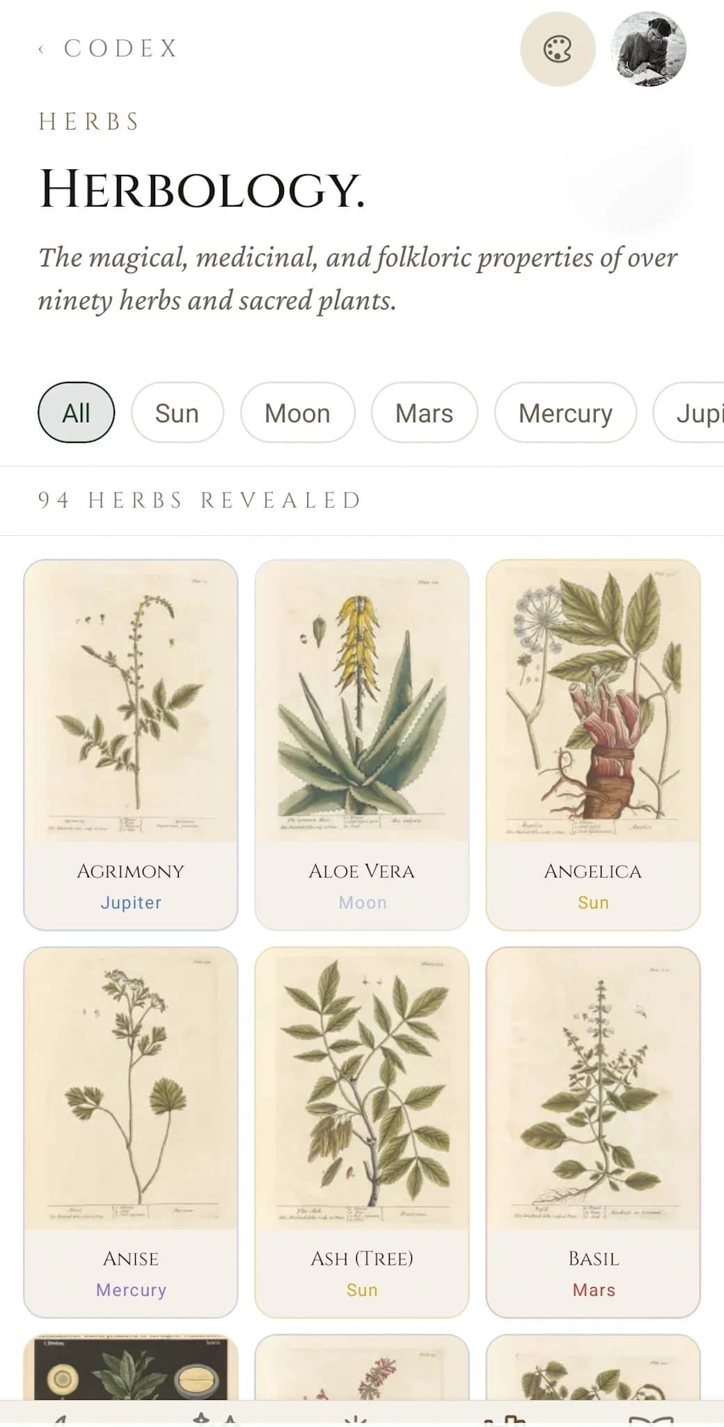 Explore the Herbology compendium Magical herbology database: botanical properties and ritual correspondences for witches